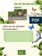 Animales Invertebbrados