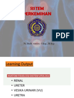 Anfis Sistem Perkemihan (Urologi)