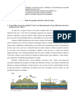 Atividade Metodologia Do Ensino de Química