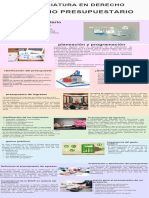 Infografia 5 Consejos Organico Ilustrado Rosa Pastel