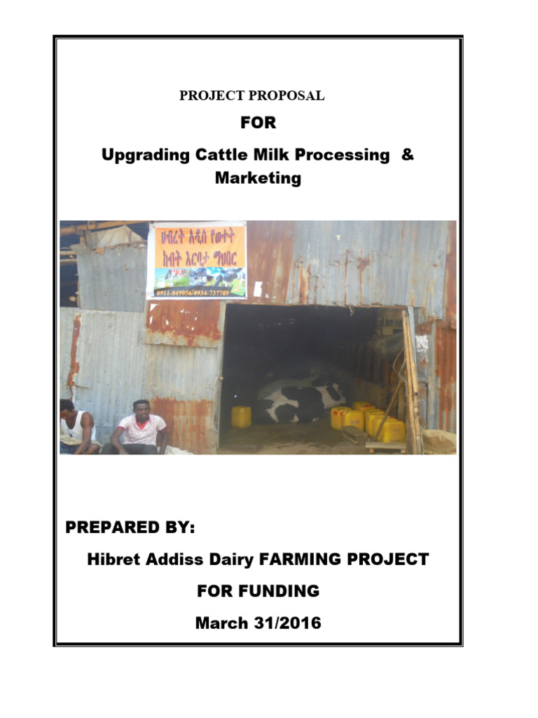 Project Proposal On DIYARY FARMING PDF Dairy Cattle Dairy Farming