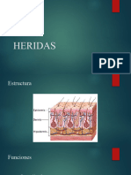 Heridas Capacitacion Dismovil 2023