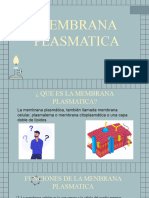 1 Menbrana Plasmatica