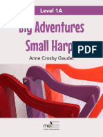 Big Adventures Small Harps 1A