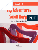 Big Adventures Small Harps 1B