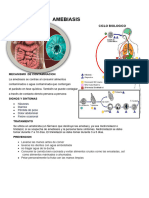 Albun Final de Parasitologia