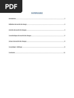 Rapport Marché de changes