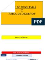 Arbol Problemas y Objetivos - Adm de Proyectos