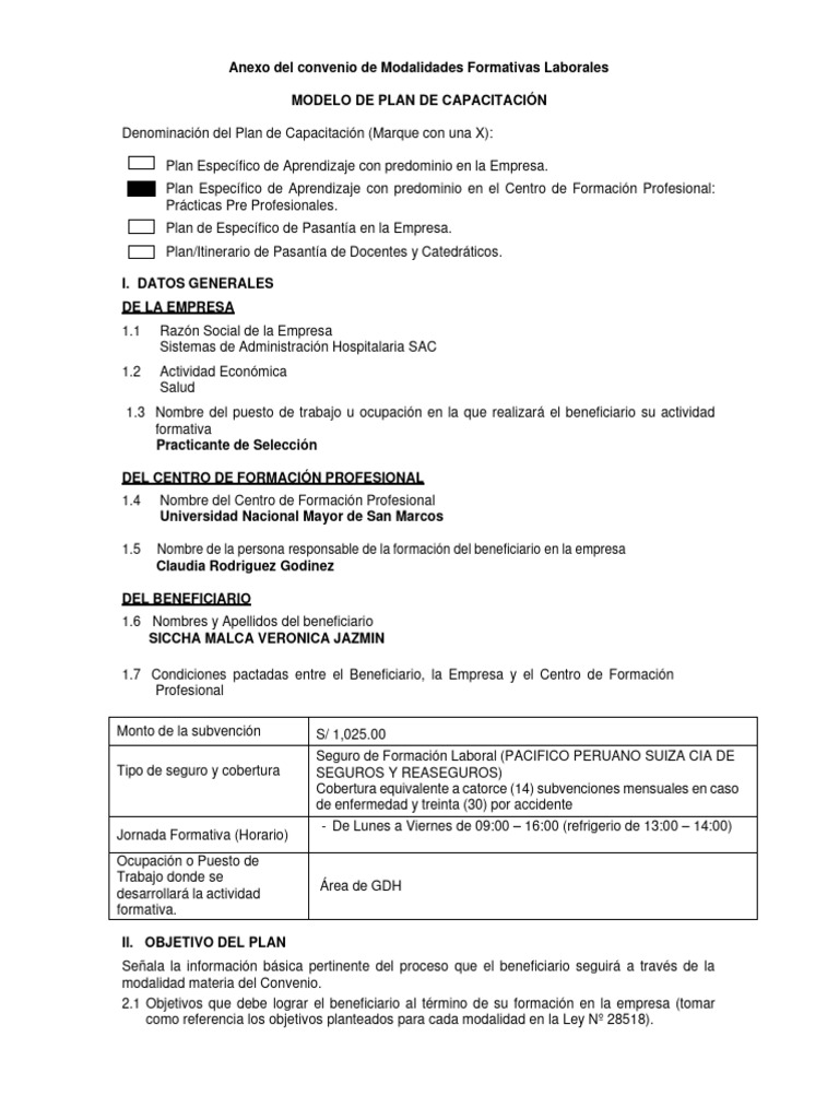 Plan de Capacitación para Prácticas Preprofesionales | PDF | Business ...