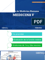 Clase Ib - Neurologia 2023-I Junio