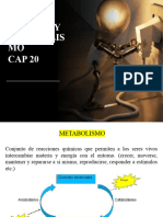 Cap 20 Energia y Metabolismo