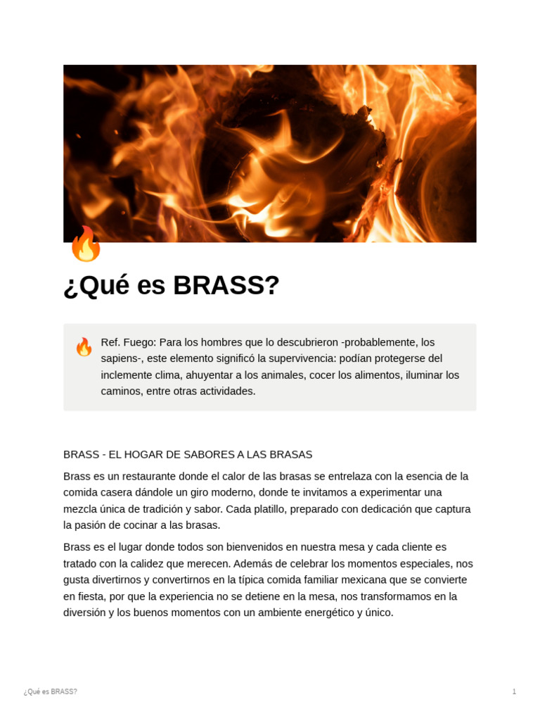 Que Es BRASS PDF