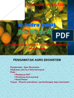 Agro Ekosistem