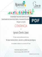 Salud Mental Constancia