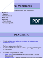 Placenta Updated