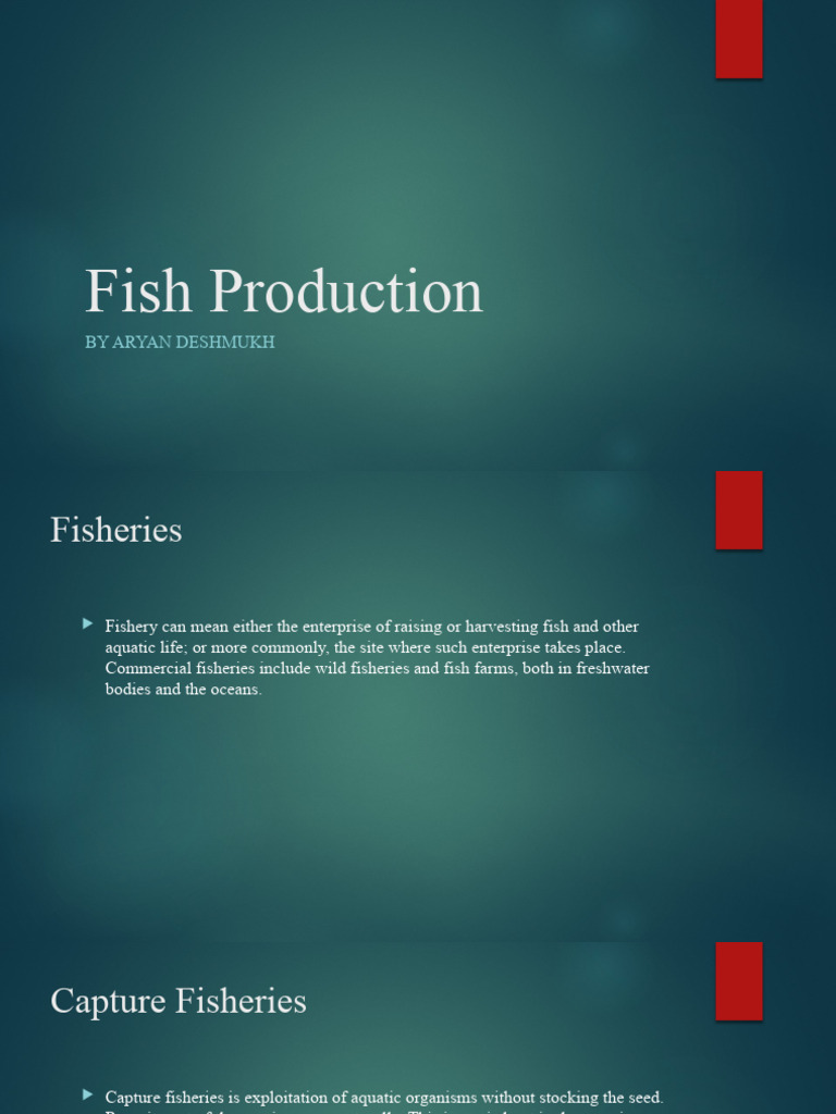 aryan-fish-production-pdf