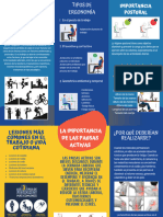 Folleto Lesiones Mas Comunes en El Trabajo o Vida Cotidiana y La Importancia de Las Pausas Activas