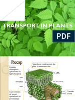 Transportinplants