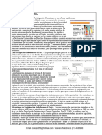 La Participación Ciudadana Es Un Deber y Un Derecho