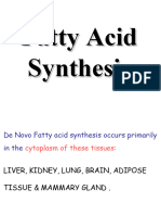 Fatty Acids Synthesis