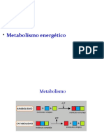 1 - Metabolismo Energético