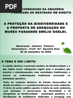 apresentaçao_mestrado