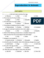 Science Worksheet Reproduction in Animals Class 4 B