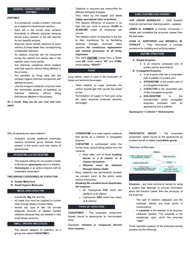 ENZYMES PDF Cofactor (Biochemistry) Enzyme