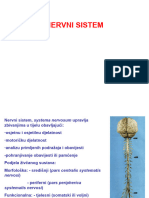 Centralni Nervni Sistem Anatomija