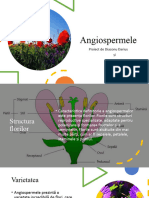 Angiosperme  