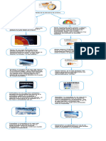 Partes de La Estructura de La Tierra - 2023105 - 121649