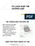 Các rối loạn nhịp tim thường gặp