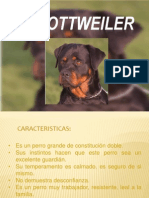 El Rottweiler