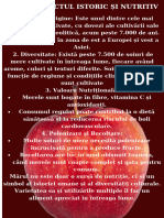 Oxblood Red Modern Apple Fruit Poster - 20231126 - 190402 - 0000