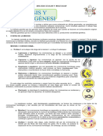 Guia (Meiosis y Gametogenesis)