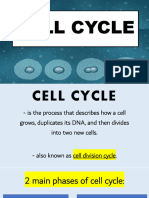 Q2 L2 Mitosis Cell Cycle