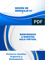 SESION 1 - Primeros Auxilios Urgencia y Emergencia - Análisis de Casos Clínicos Diferencia Entre Emergencias y Urgencias