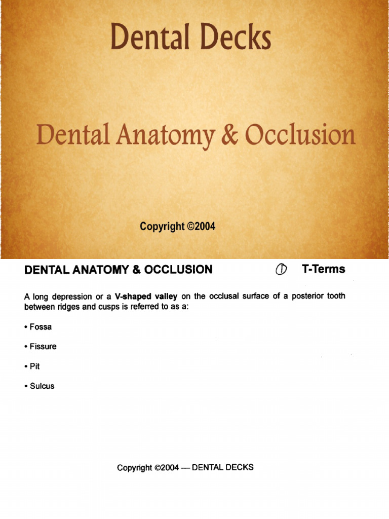 Dental Decks, Dental Anatomy and Occlusion (Dentistry) (ZLibrary) PDF