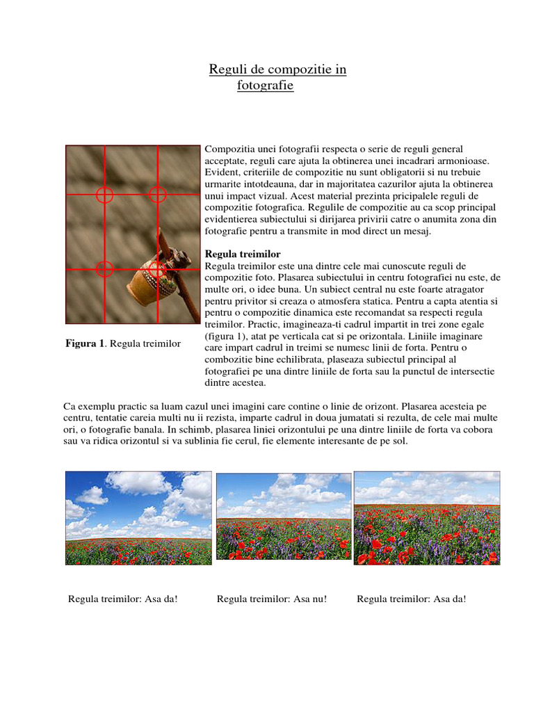 Reguli de Compozitie in Fotografie | PDF