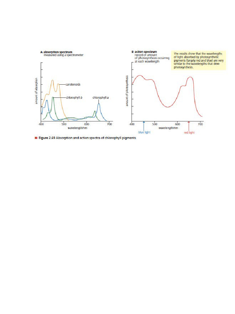 Spectrum PDF