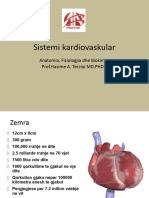 Sistemi Kardiovaskular 2023