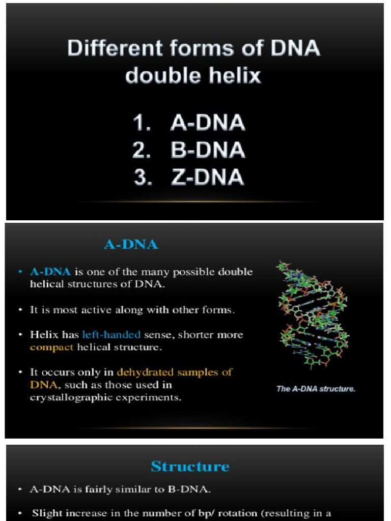 Dna Types | PDF | Dna Replication | Reverse Transcriptase