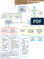 Mapa Concepual