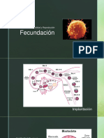 Fecundación