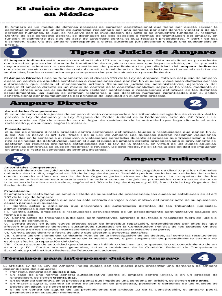 Infografia Juicio de Amparo | PDF | Ley procesal | Judicaturas