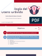 Farmacología Del Utero Grávido