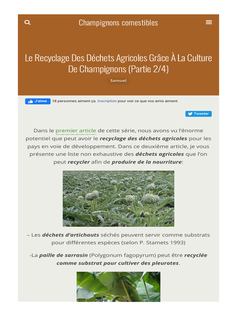 Recyclage des Déchets Agricoles en Champignons | PDF | Ingrédients ...