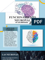 FUNCIONAMIENTO NEURONAL