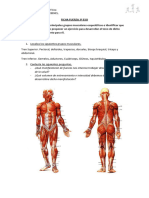 FICHAFUERZA3ESOMUSCULOS