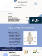 Grupo 1 - Articulaciones Especificas